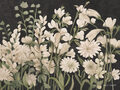 Image Not Available